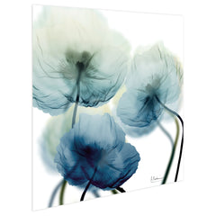 "Unfocused Beuaty 1" Frameless Free Floating Tempered Glass Panel Graphic Wall Art