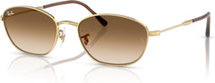 Ray-Ban womens Rb3749 Oval Sunglasses