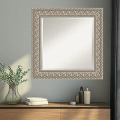 Sydney Silver Beveled Framed Wall Mirror